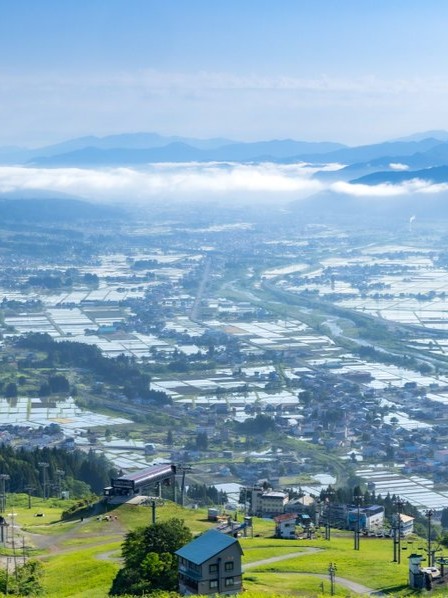 初夏の特別営業【5/10-6/15】