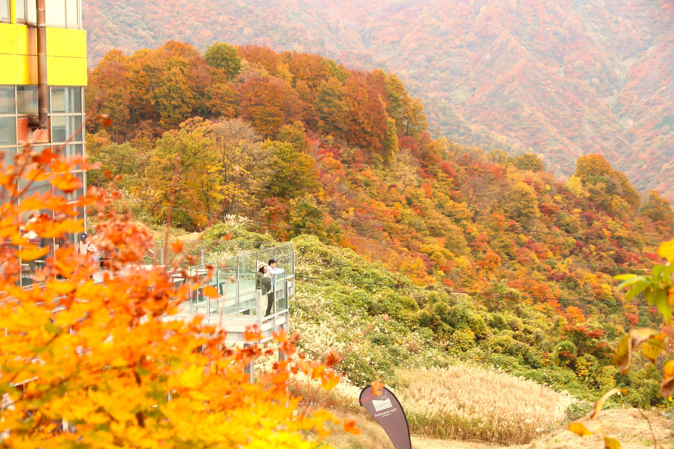 紅葉10月下旬〜11月上旬